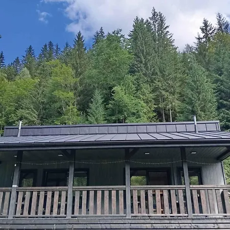 тишина гір над потоками Prázdninový dům Berezhnytsia