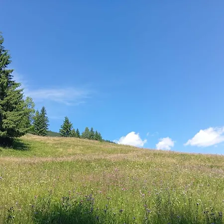 тишина гір над потоками Berezhnytsia