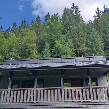 тишина гір над потоками Σπίτι διακοπών Berezhnytsia