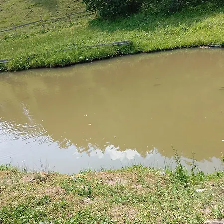 тишина гір над потоками