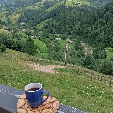 тишина гір над потоками * Berezhnytsia
