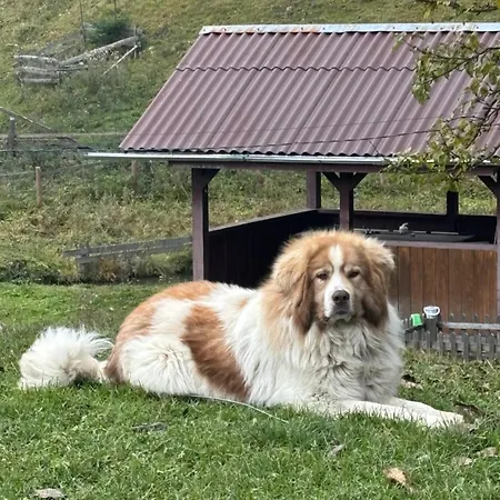 тишина гір над потоками Σπίτι διακοπών *